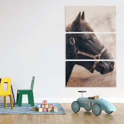 Canvas 40 x 60 - Gallopin the brown horse
