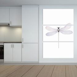 Canvas 40 x 60 - Delicate dragonfly