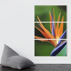 Canvas 40 x 60 - Bird of paradise flower 