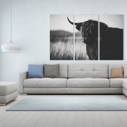 Canvas 40 x 60 - Beautiful monochrome highland cow