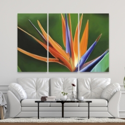 Canvas 40 x 60 - Bird of paradise flower 