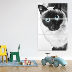 Canvas 40 x 60 - Blue eyes siamese cat