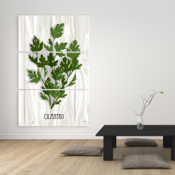 Toile 40 x 60 - Coriandre sur bois