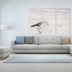 Toile 40 x 60 - Bécasseau semipalmé
