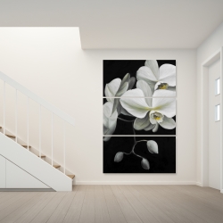 Canvas 40 x 60 - White orchids