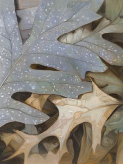 Feuilles d'automne