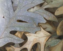 Feuilles d'automne