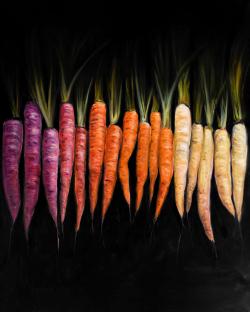 Carottes colorées
