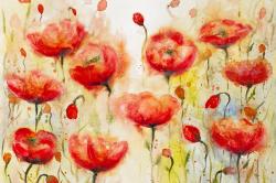 Jardin de fleurs rouge