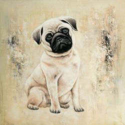 Small pug dog