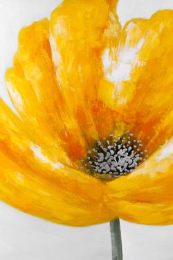 Beautiful yellow flower