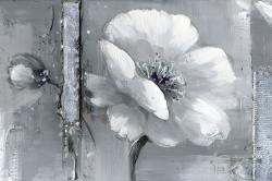 Gray & white flowers