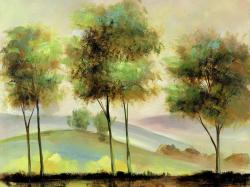 Trees near the lake