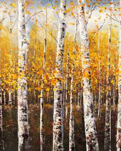 Birches by sunny day