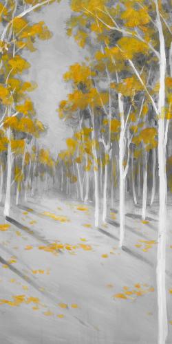 Yellow birch forest