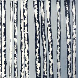 Small birch trees