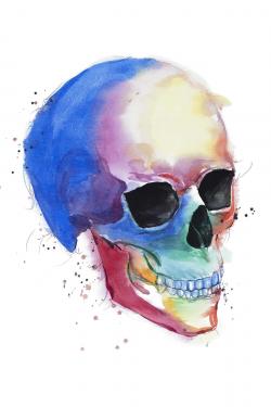 Watercolor colorful skull profile