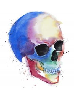 Watercolor colorful skull profile