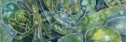 Succulents abstrait
