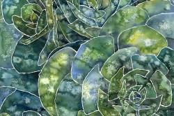 Succulents abstrait