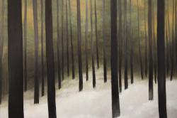 Forêt silencieuse