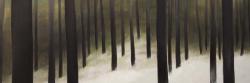 Forêt silencieuse