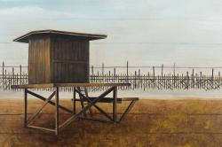 Newport beach lifeguard tower