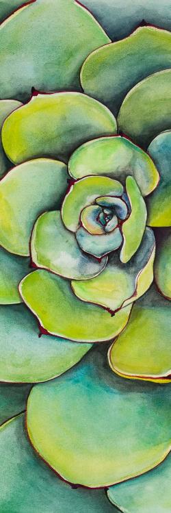 Watercolor succulent plant