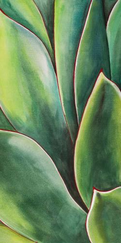 Watercolor agave plant