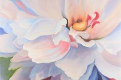 Pastel colored flower