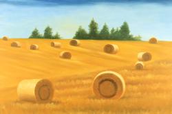 Paysage de la campagne