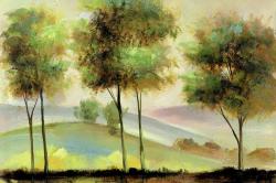 Trees near the lake