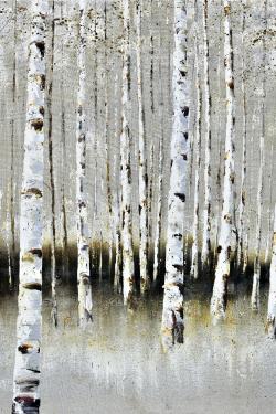 Winter forest landscape