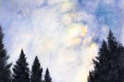 Starry sky in forest