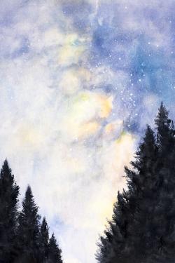 Starry sky in forest
