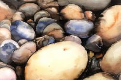 Beach pebbles