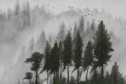 Mountains landscape in dark watercolor
