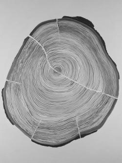 Grayscale wood log