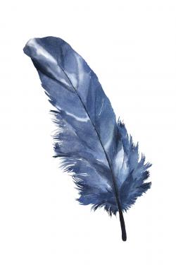 Blue feather
