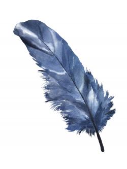 Blue feather