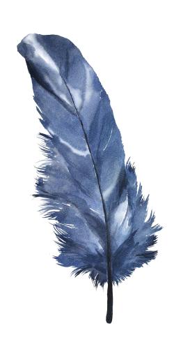 Blue feather
