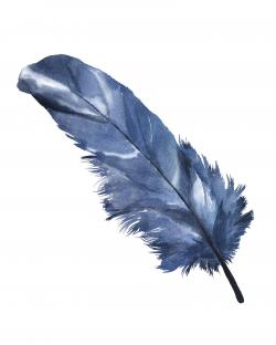 Blue feather