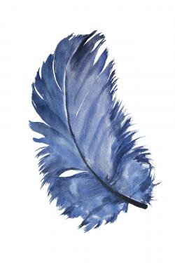 Plume bleue à l'aquarelle