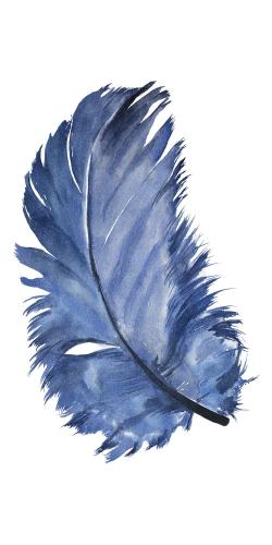 Plume bleue à l'aquarelle