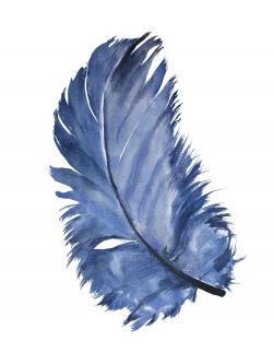 Plume bleue à l'aquarelle