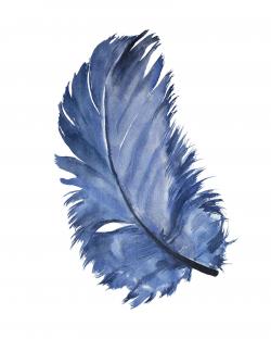 Plume bleue à l'aquarelle