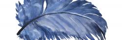 Plume bleue à l'aquarelle