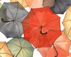 The umbrellas of petit champlain