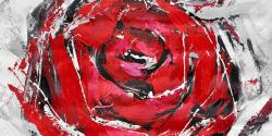 Abstract red roses