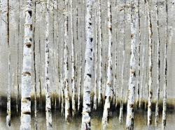Winter forest landscape